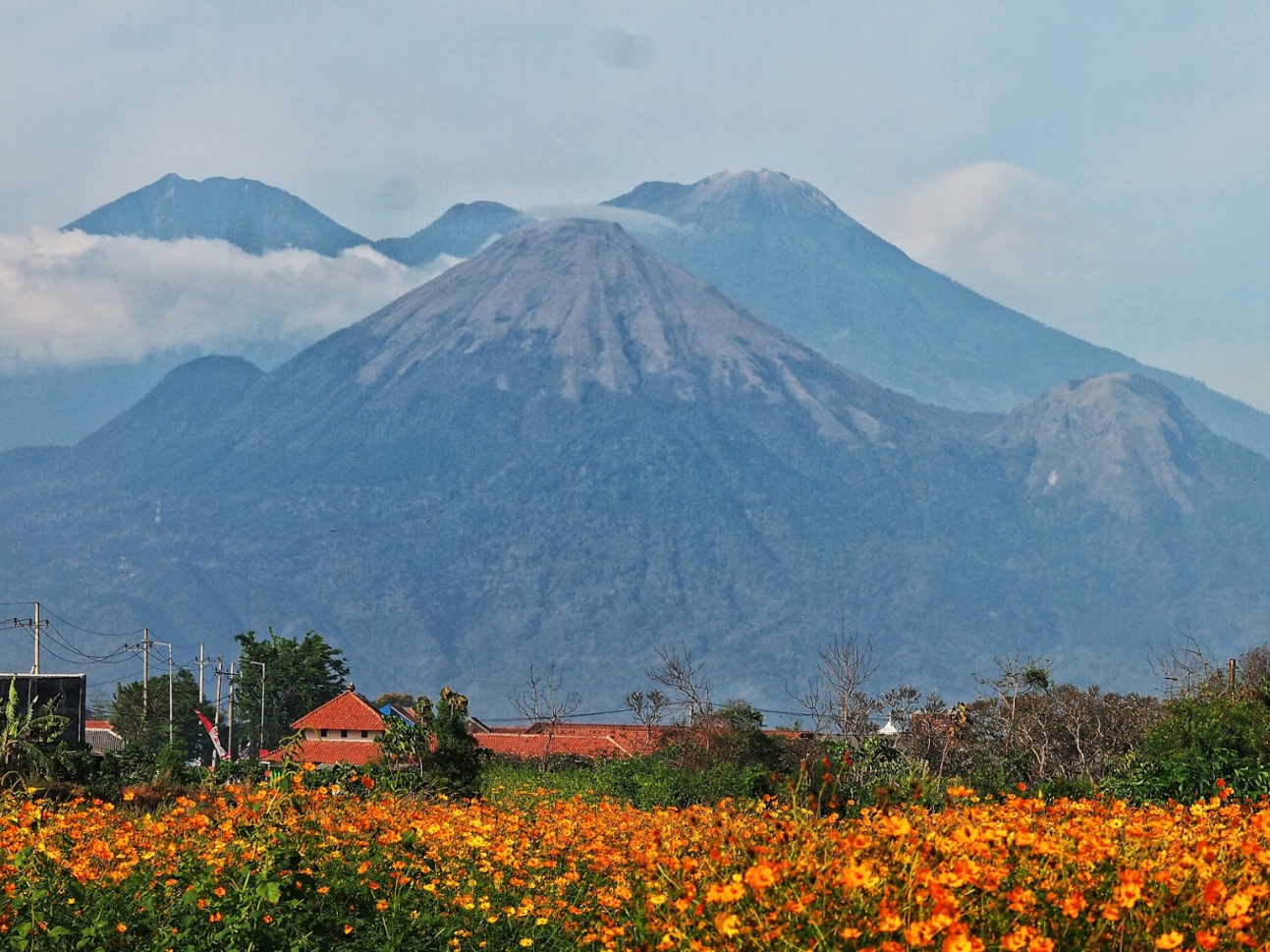 Hiking Gunung Arjuno